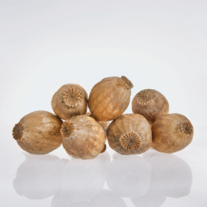 Dried Grade B poppy pods
